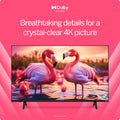 VIZIO 50" Class 4K UHD LED HDR Smart TV (V4K50M - 08)